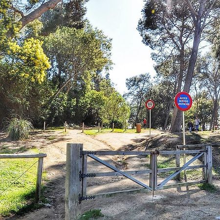 Apartamento Adia Lloret de Mar Dış mekan fotoğraf